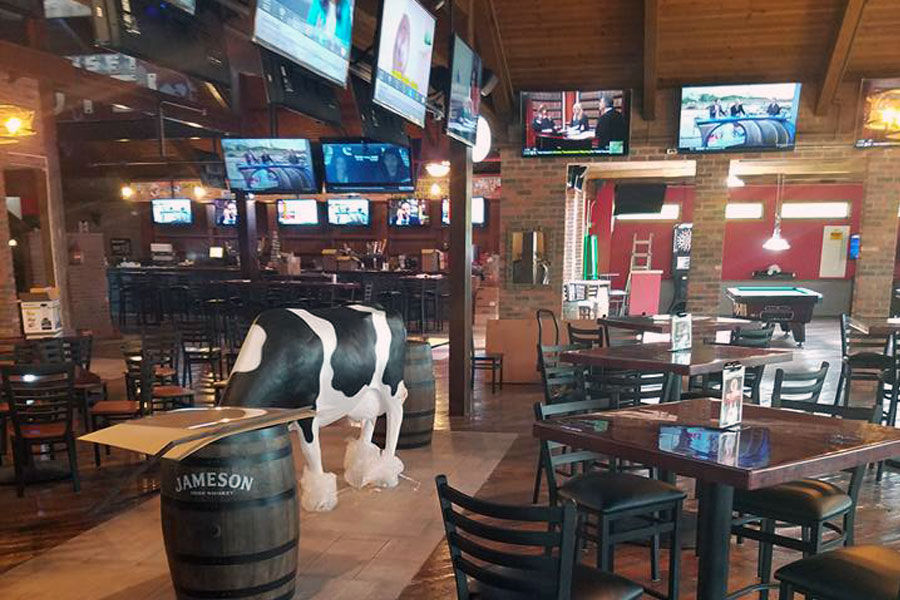 Muddy cow interior